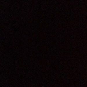 Meet your Posher, Ally